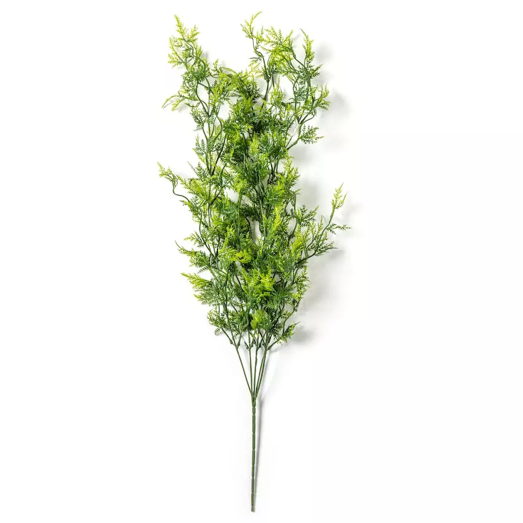 Cheap โ๏ธ 6 Pack: Green Hanging Fern Bush by Ashland® ๐ 7 Cheap โ๏ธ 6 Pack: Green Hanging Fern Bush by Ashland® ๐ - Image 5