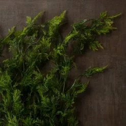 Cheap โ๏ธ 6 Pack: Green Hanging Fern Bush by Ashland® ๐ 13 Cheap โ๏ธ 6 Pack: Green Hanging Fern Bush by Ashland® ๐ -Ashland Online Store 10626844 25 1