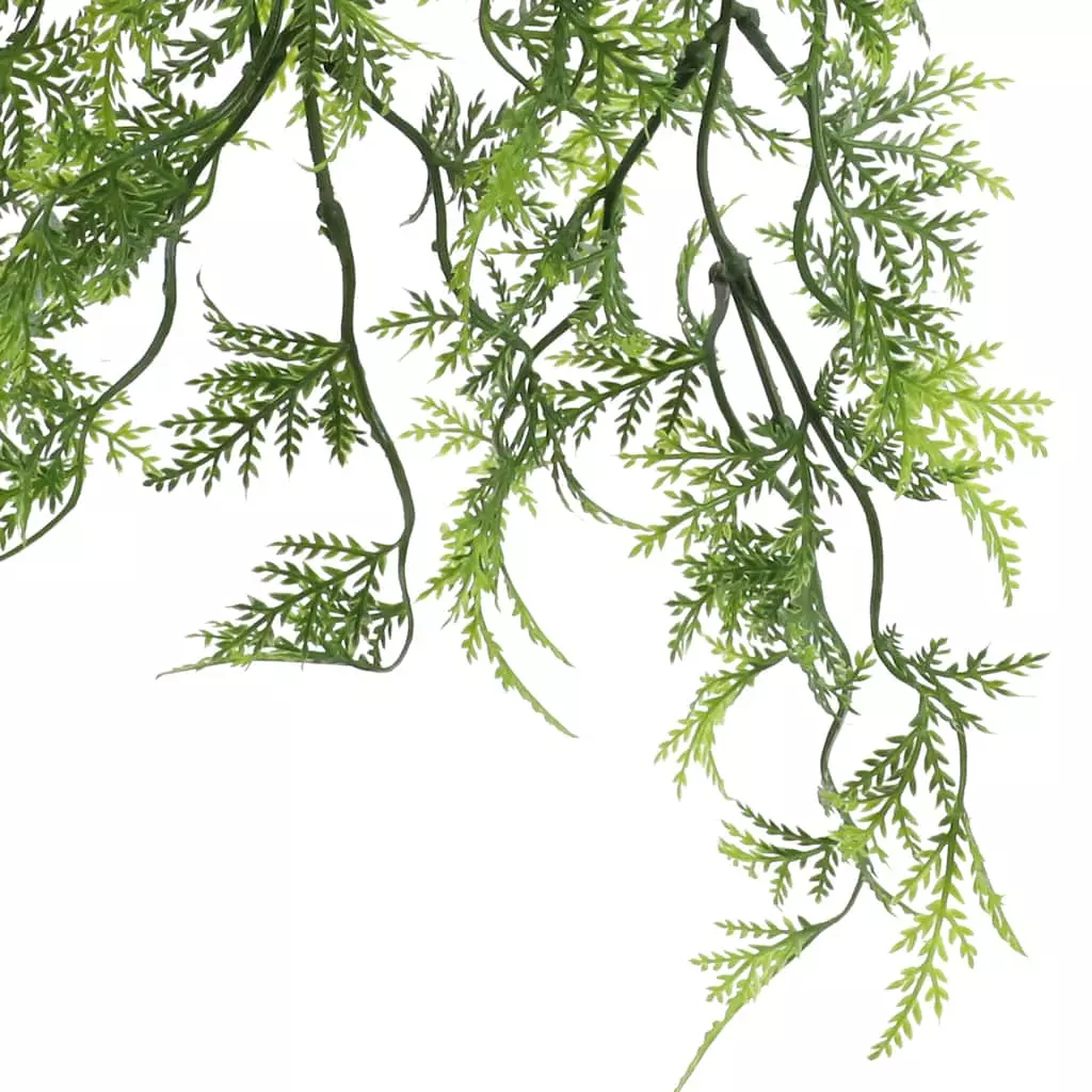Cheap โ๏ธ 6 Pack: Green Hanging Fern Bush by Ashland® ๐ 4 Cheap โ๏ธ 6 Pack: Green Hanging Fern Bush by Ashland® ๐ - Image 2