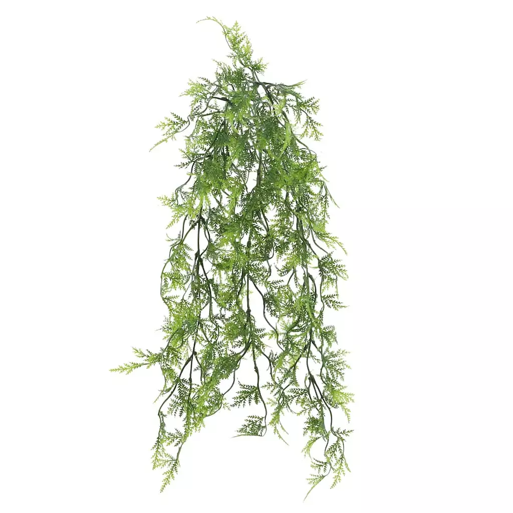 Cheap โ๏ธ 6 Pack: Green Hanging Fern Bush by Ashland® ๐ 5 Cheap โ๏ธ 6 Pack: Green Hanging Fern Bush by Ashland® ๐ - Image 3