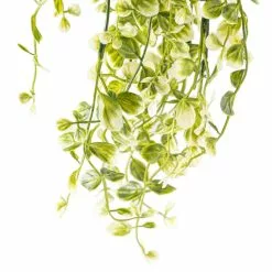 Discount ๐ 6 Pack: Cream & Green Hanging Smilax Bush by Ashland® ๐ 11 Discount ๐ 6 Pack: Cream & Green Hanging Smilax Bush by Ashland® ๐ -Ashland Online Store 10626845 20
