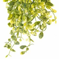 Best Pirce ❤️ Green Hanging Smilax Bush by Ashland® 😀 -Ashland Online Store 10626846 20