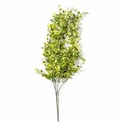 Best Pirce ❤️ Green Hanging Smilax Bush by Ashland® 😀 -Ashland Online Store 10626846 21