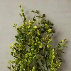 Best Pirce ❤️ Green Hanging Smilax Bush by Ashland® 😀 -Ashland Online Store 10626846 25