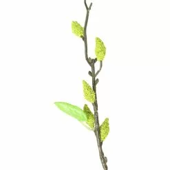 Best Sale ✔️ 12 Pack: Green Willow Stem by Ashland® 🎁 -Ashland Online Store 10626847 2