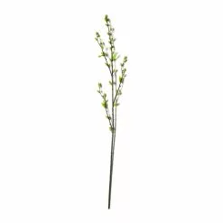 Top 10 ⭐ Green Willow Stem by Ashland® ⭐
