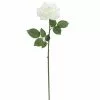 Deals ๐ 6 Pack: White Rose Stem by Ashland® โค๏ธ 1 Deals ๐ 6 Pack: White Rose Stem by Ashland® โค๏ธ -Ashland Online Store 10626862 1