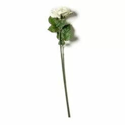 Coupon ⭐ White Rose Stem by Ashland® ⌛