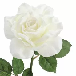 Deals 🔔 6 Pack: White Rose Stem by Ashland® ❤️ -Ashland Online Store 10626862 3