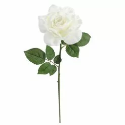 Deals 🔔 6 Pack: White Rose Stem by Ashland® ❤️ -Ashland Online Store 10626862 4