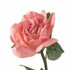 Cheap โค๏ธ Blush Rose Stem by Ashland® ๐งจ 7 Cheap โค๏ธ Blush Rose Stem by Ashland® ๐งจ -Ashland Online Store 10626864 20