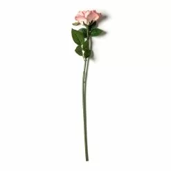 Cheap ❤️ Blush Rose Stem by Ashland® 🧨