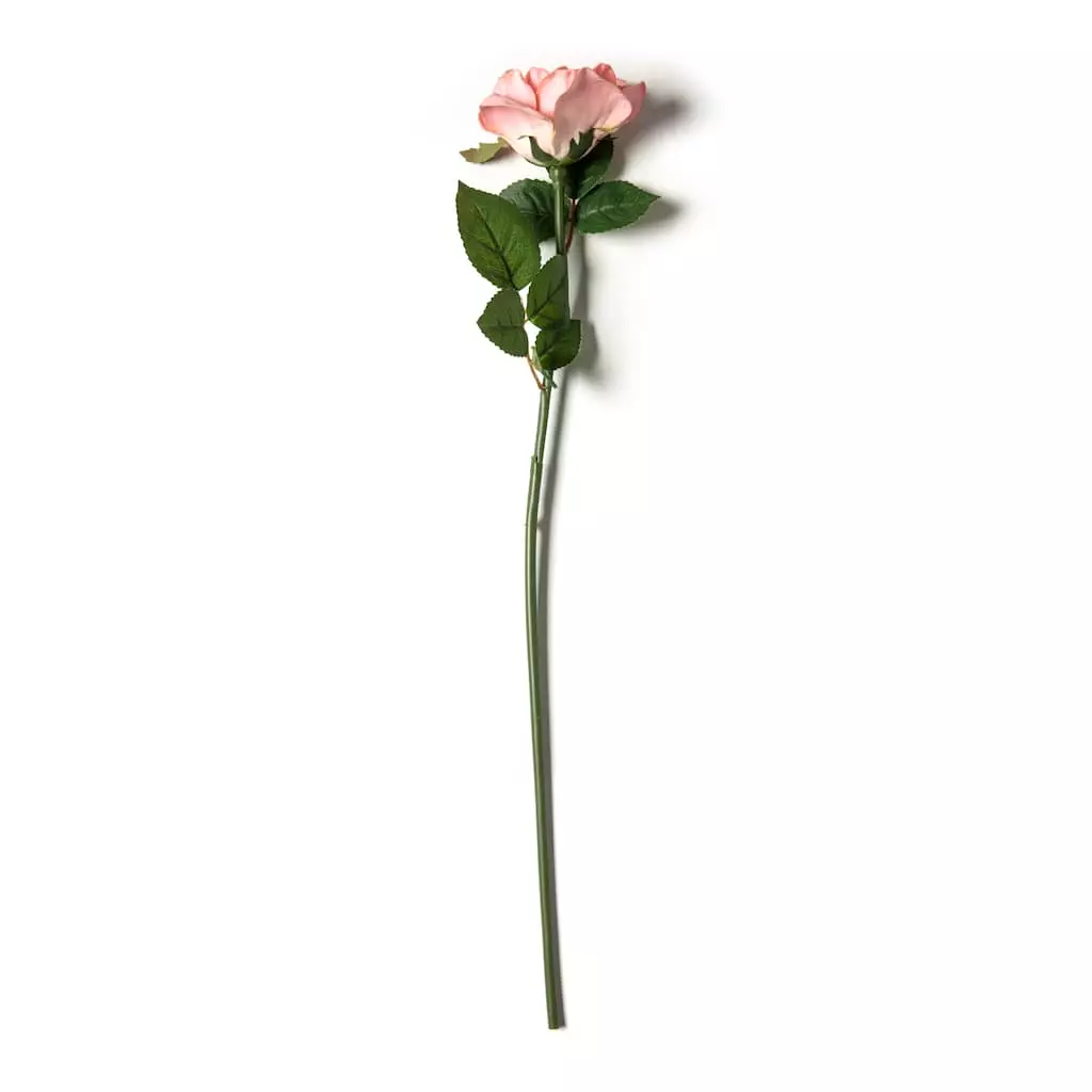Cheap โค๏ธ Blush Rose Stem by Ashland® ๐งจ 3 Cheap โค๏ธ Blush Rose Stem by Ashland® ๐งจ
