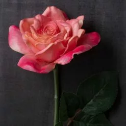 Cheapest 🎁 Pink Rose Stem by Ashland® ⌛ -Ashland Online Store 10626868 22