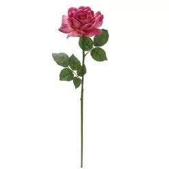 Best Sale โ 6 Pack: Fuchsia Rose Stem by Ashland® โ