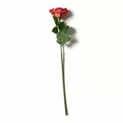 Deals 😀 Fuchsia Rose Stem by Ashland® ⌛