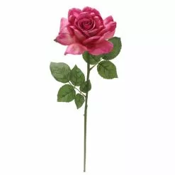 Best Sale ⌛ 6 Pack: Fuchsia Rose Stem by Ashland® ⌛ -Ashland Online Store 10626870 4