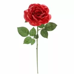 Outlet ๐ฅ 6 Pack: Red Rose Stem by Ashland® โจ 10 Outlet ๐ฅ 6 Pack: Red Rose Stem by Ashland® โจ -Ashland Online Store 10626872 4