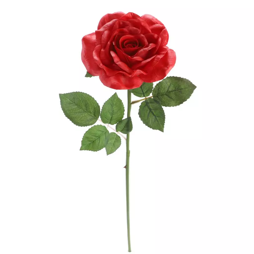 Outlet ๐ฅ 6 Pack: Red Rose Stem by Ashland® โจ 5 Outlet ๐ฅ 6 Pack: Red Rose Stem by Ashland® โจ - Image 3