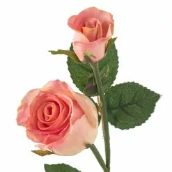 Deals 🔥 Pink Rose Stem by Ashland® 😀 -Ashland Online Store 10626874 20