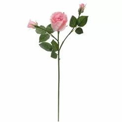 Best reviews of ⌛ 6 Pack: Blush Rose Spray by Ashland® 💯