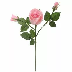 Best reviews of ⌛ 6 Pack: Blush Rose Spray by Ashland® 💯 -Ashland Online Store 10626876 4