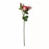 Coupon ✔️ Fuchsia Rose Stem by Ashland® 🥰 -Ashland Online Store 10626878 21