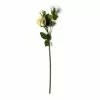 Buy ✨ White Rose Stem by Ashland® ✨ -Ashland Online Store 10626882 21