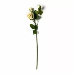 Buy ✨ White Rose Stem by Ashland® ✨