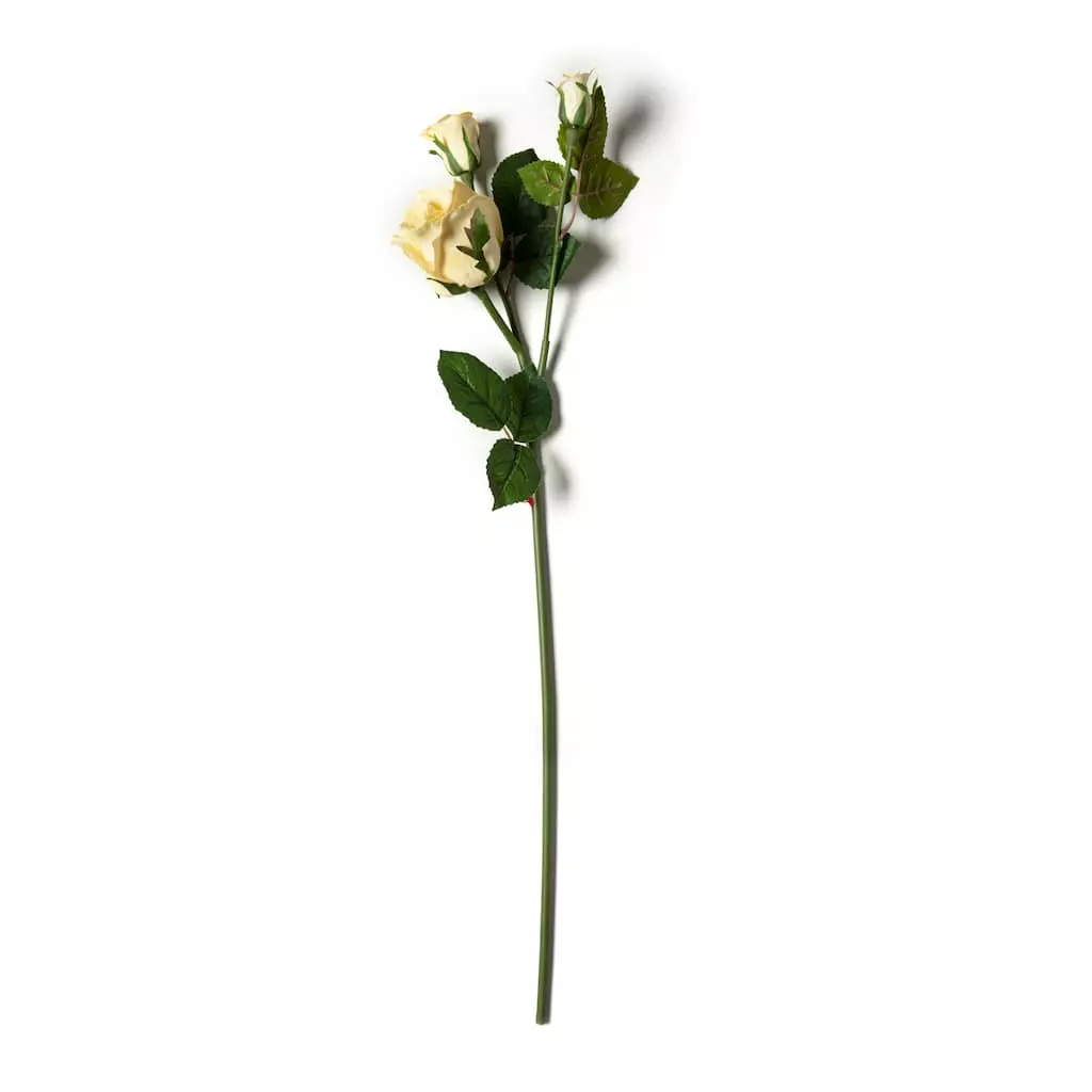 Buy ✨ White Rose Stem by Ashland® ✨ 3 Buy ✨ White Rose Stem by Ashland® ✨