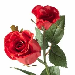 Best reviews of 😀 Red Rose Stem by Ashland® ✨ -Ashland Online Store 10626884 20