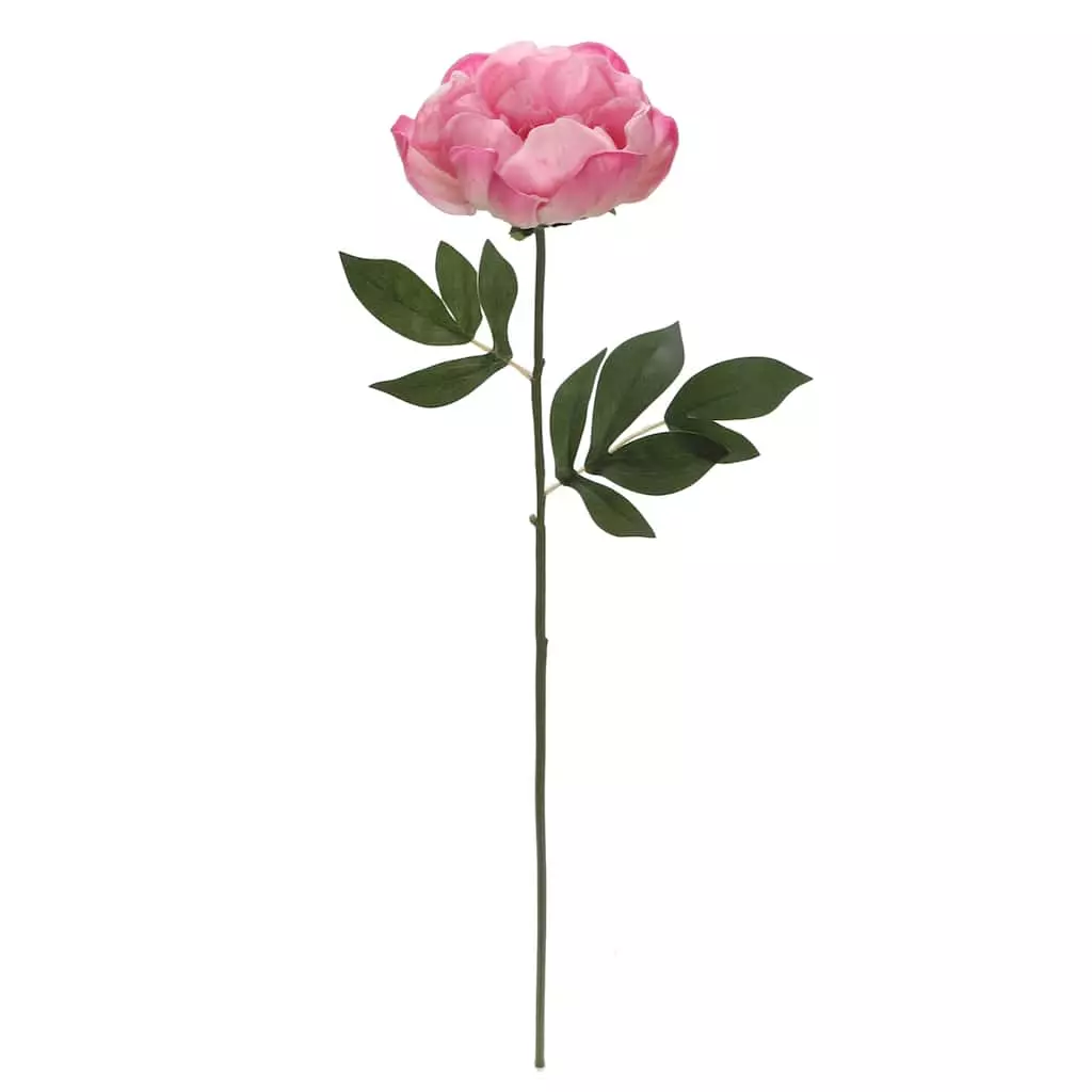 Best Sale ⭐ 6 Pack: Pink Peony Stem by Ashland® ⌛ 3 Best Sale ⭐ 6 Pack: Pink Peony Stem by Ashland® ⌛