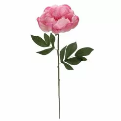 Best Sale ⭐ 6 Pack: Pink Peony Stem by Ashland® ⌛ 10 Best Sale ⭐ 6 Pack: Pink Peony Stem by Ashland® ⌛ -Ashland Online Store 10626888 4