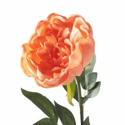 Best deal ✔️ Coral Large Peony Stem by Ashland® ✔️ 7 Best deal ✔️ Coral Large Peony Stem by Ashland® ✔️ -Ashland Online Store 10626890 20