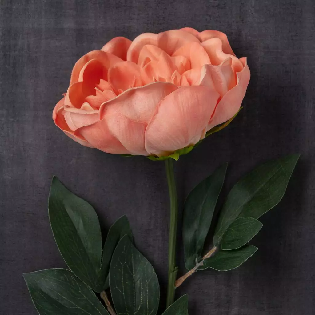 Best deal ✔️ Coral Large Peony Stem by Ashland® ✔️ 4 Best deal ✔️ Coral Large Peony Stem by Ashland® ✔️ - Image 2