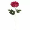 Best reviews of 🤩 6 Pack: Fuchsia Peony Stem by Ashland® 🤩