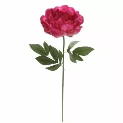 New ๐ Fuchsia Peony Stem by Ashland® โญ 7 New ๐ Fuchsia Peony Stem by Ashland® โญ -Ashland Online Store 10626892 4