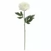 Promo 🎁 White Peony Stem by Ashland® 🔔 -Ashland Online Store 10626894 1