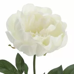 Promo 🎁 White Peony Stem by Ashland® 🔔 -Ashland Online Store 10626894 2