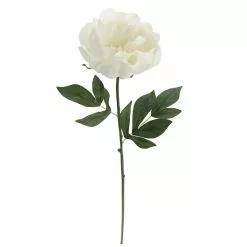 Promo 🎁 White Peony Stem by Ashland® 🔔 -Ashland Online Store 10626894 3