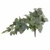Promo 😉 6 Pack: Green Hanging Fittonia Bush by Ashland® 👍