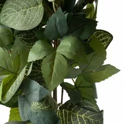 Promo 😉 6 Pack: Green Hanging Fittonia Bush by Ashland® 👍 -Ashland Online Store 10626924 20 1