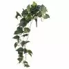 Discount 👍 Hanging Pothos Bush by Ashland® 🛒