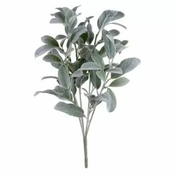 Best reviews of ✨ Lamb's Ear Bush by Ashland® ✔️