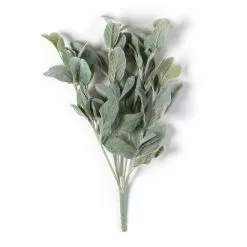 Cheapest ⌛ 6 Pack: Lamb's Ear Bush by Ashland® ✔️