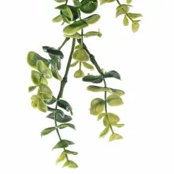 Coupon ⌛ 6 Pack: Green Hanging Eucalyptus Bush by Ashland® ⌛ -Ashland Online Store 10626930 20