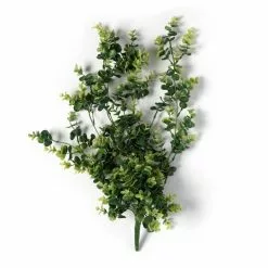 Coupon ⌛ 6 Pack: Green Hanging Eucalyptus Bush by Ashland® ⌛