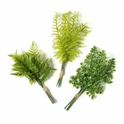 Top 10 🛒 12 Pack: Assorted Green Fern Bundle by Ashland® 🌟