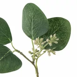 Outlet ๐ Assorted Green Eucalyptus & Berry Pick by Ashland® ๐ฅฐ 9 Outlet ๐ Assorted Green Eucalyptus & Berry Pick by Ashland® ๐ฅฐ -Ashland Online Store 10626934 20