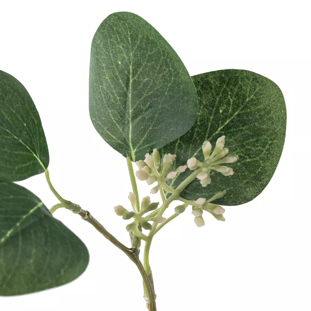 Outlet ๐ Assorted Green Eucalyptus & Berry Pick by Ashland® ๐ฅฐ 5 Outlet ๐ Assorted Green Eucalyptus & Berry Pick by Ashland® ๐ฅฐ - Image 3